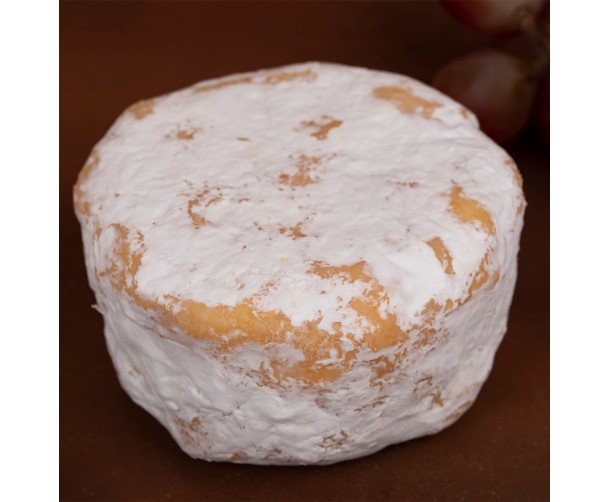 Maia’s Beautiful Bree (Brie)